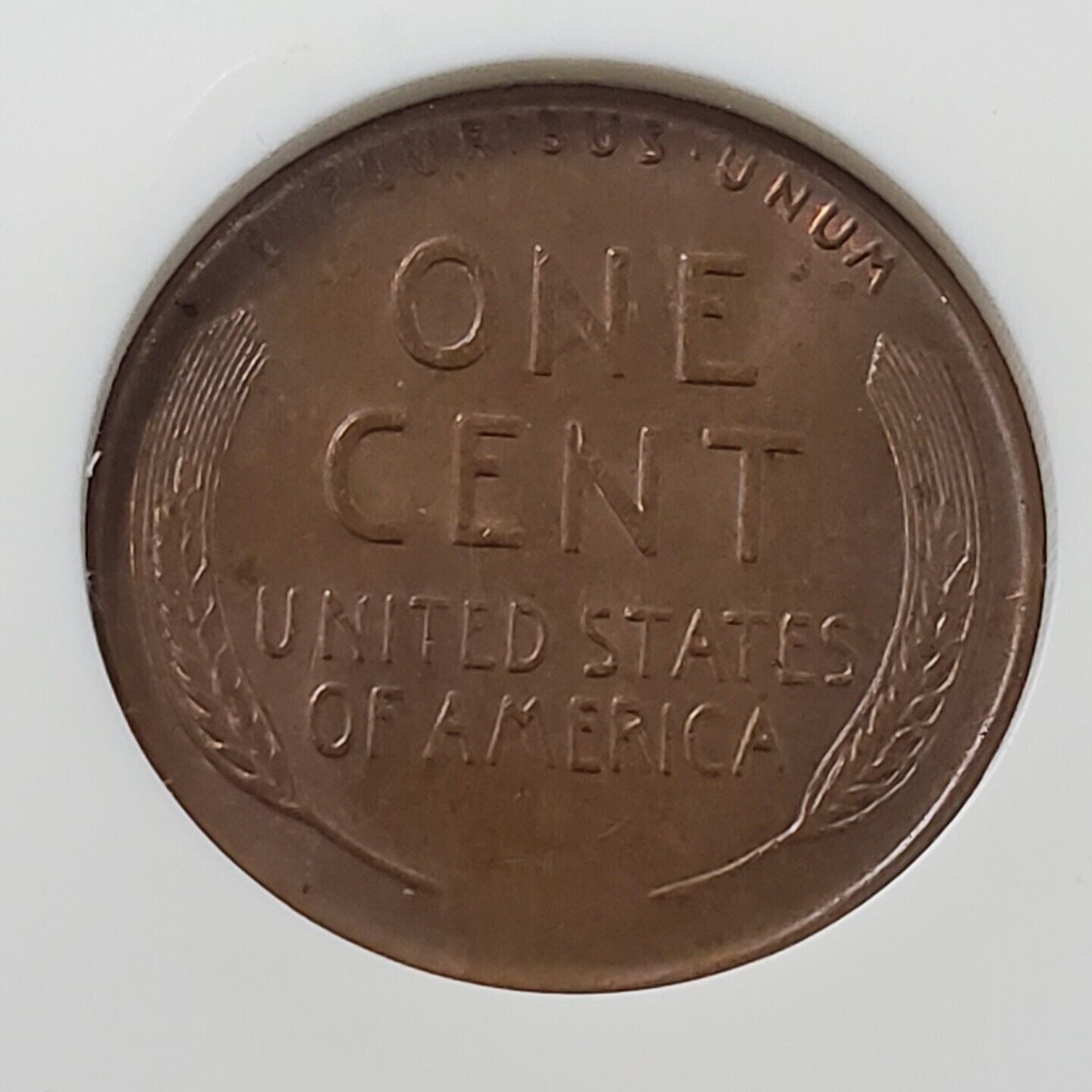 1951 D D/S Lincoln Wheat Cent Penny ANACS MS60 BRN FS-021.5 FS-511 OMM  Variety