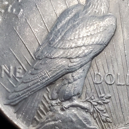 1923 P Peace 90% Silver Eagle Dollar Coin VAM 1E Broken Wing Variety CH AU