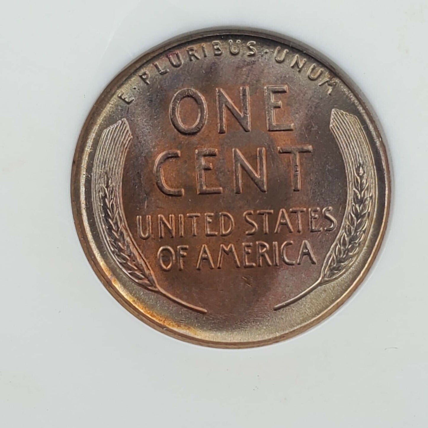 1954 S Lincoln Wheat Cent Penny Variety ANACS MS65 DDO 001 PQ * Rainbow Toning