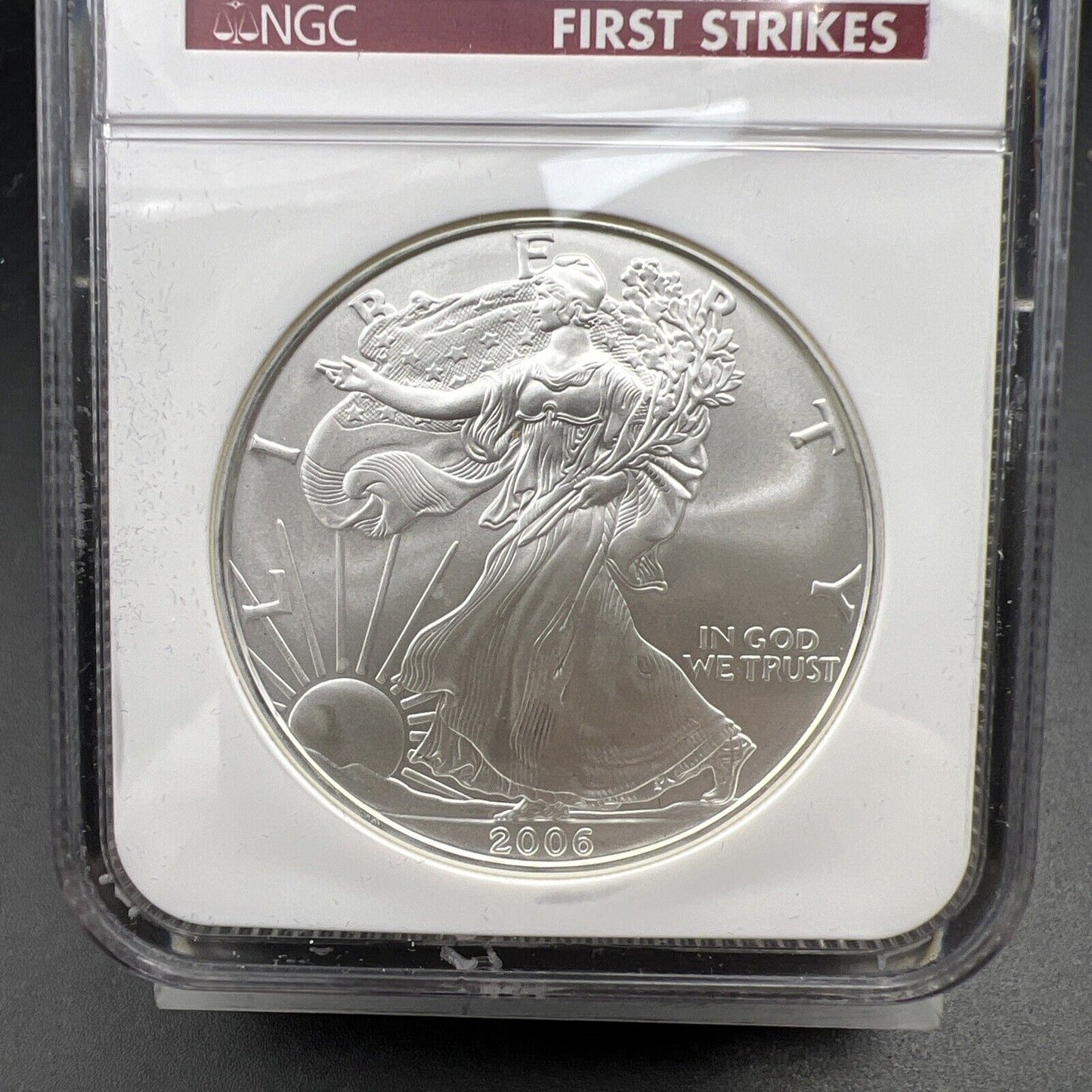 2006 1 oz American Silver Eagle $1 NGC Certified MS70 First Strikes