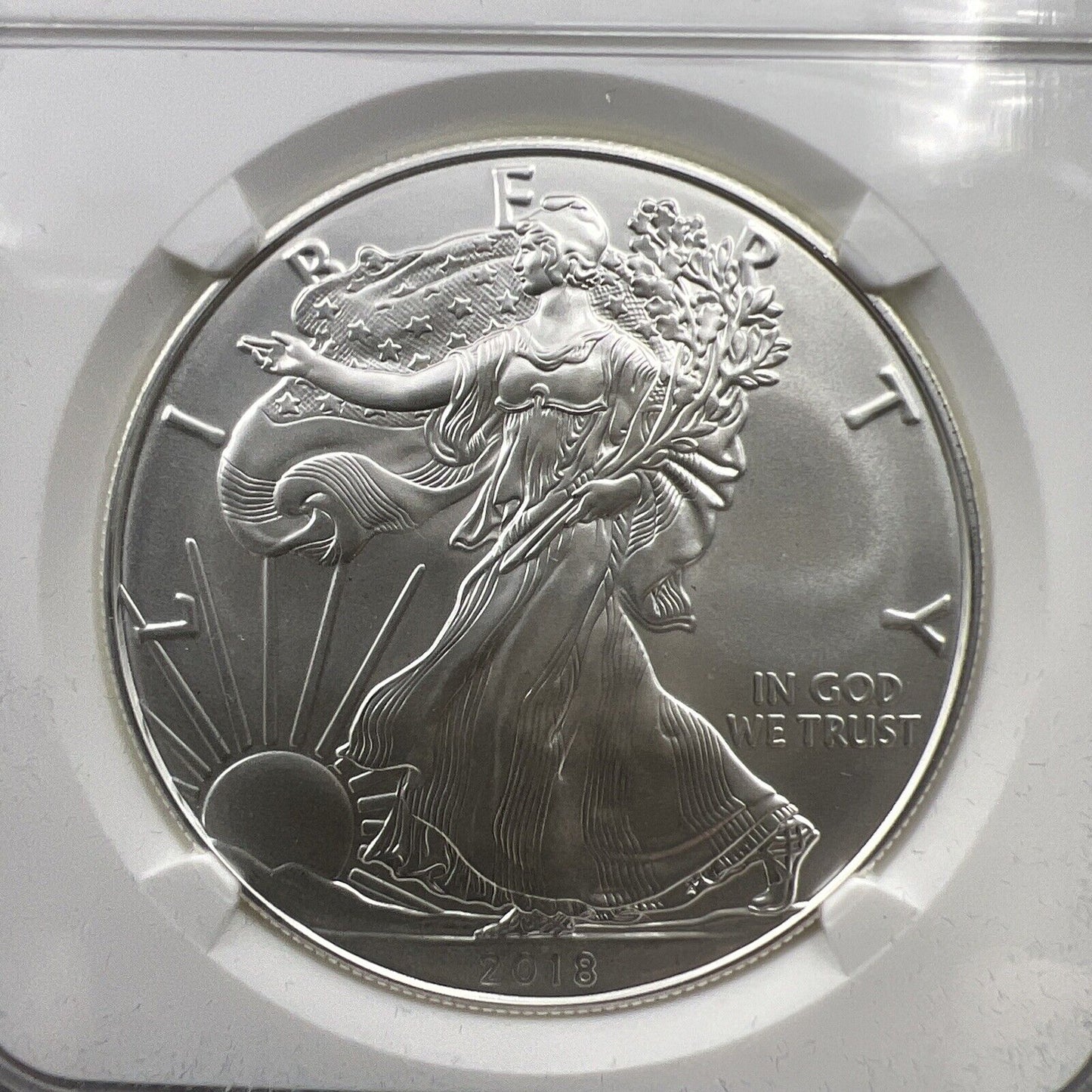 2018 1 oz American Silver Eagle $1 NGC Certified MS70 Elizabeth Jones Holder