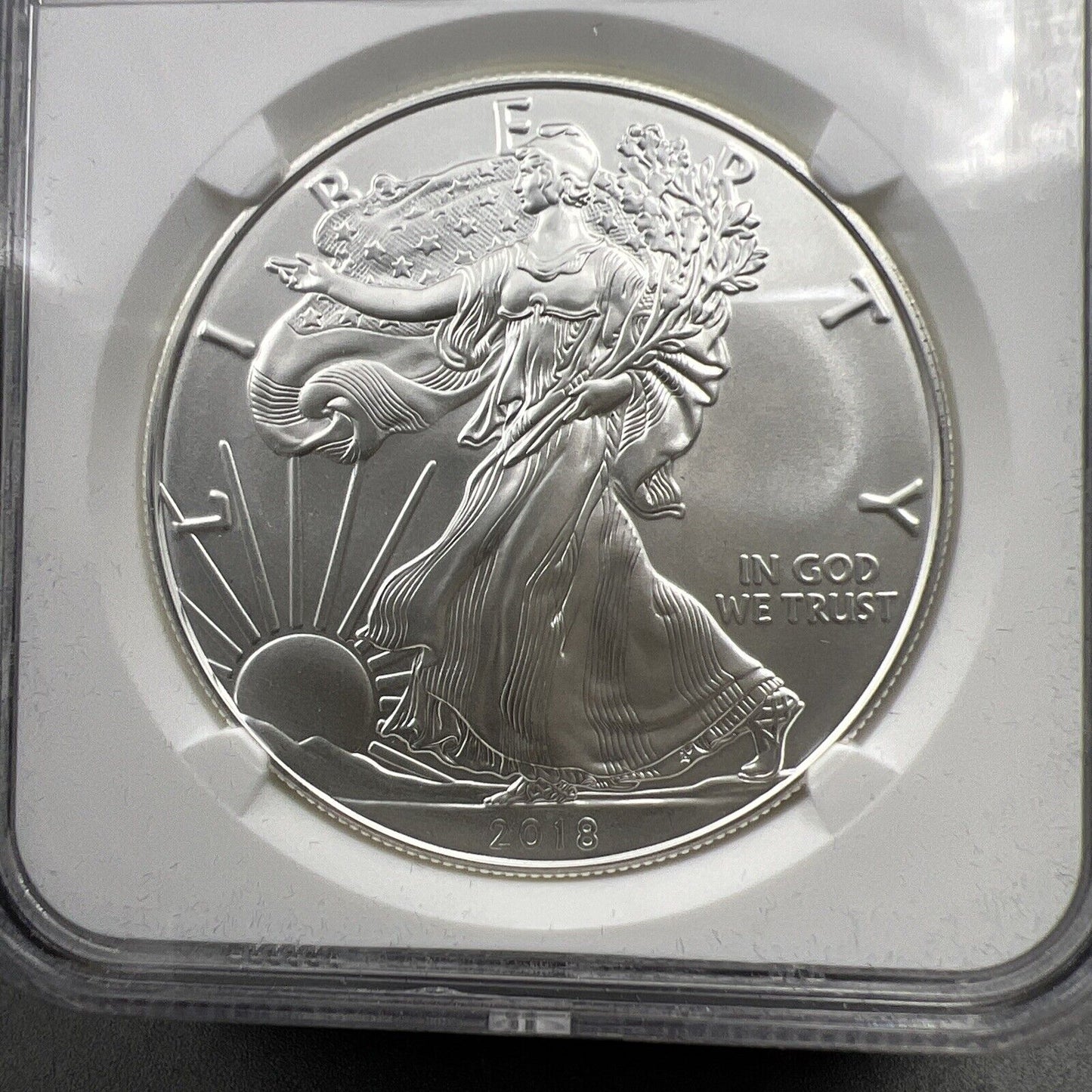 2018 1 oz American Silver Eagle $1 NGC Certified MS70 Elizabeth Jones Holder