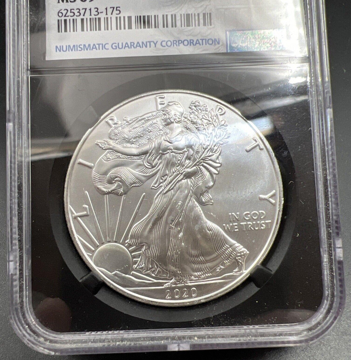 2020 P 1 OZ ASE Emergency American Silver Eagle Coin NGC MS69 Philadelphia #175