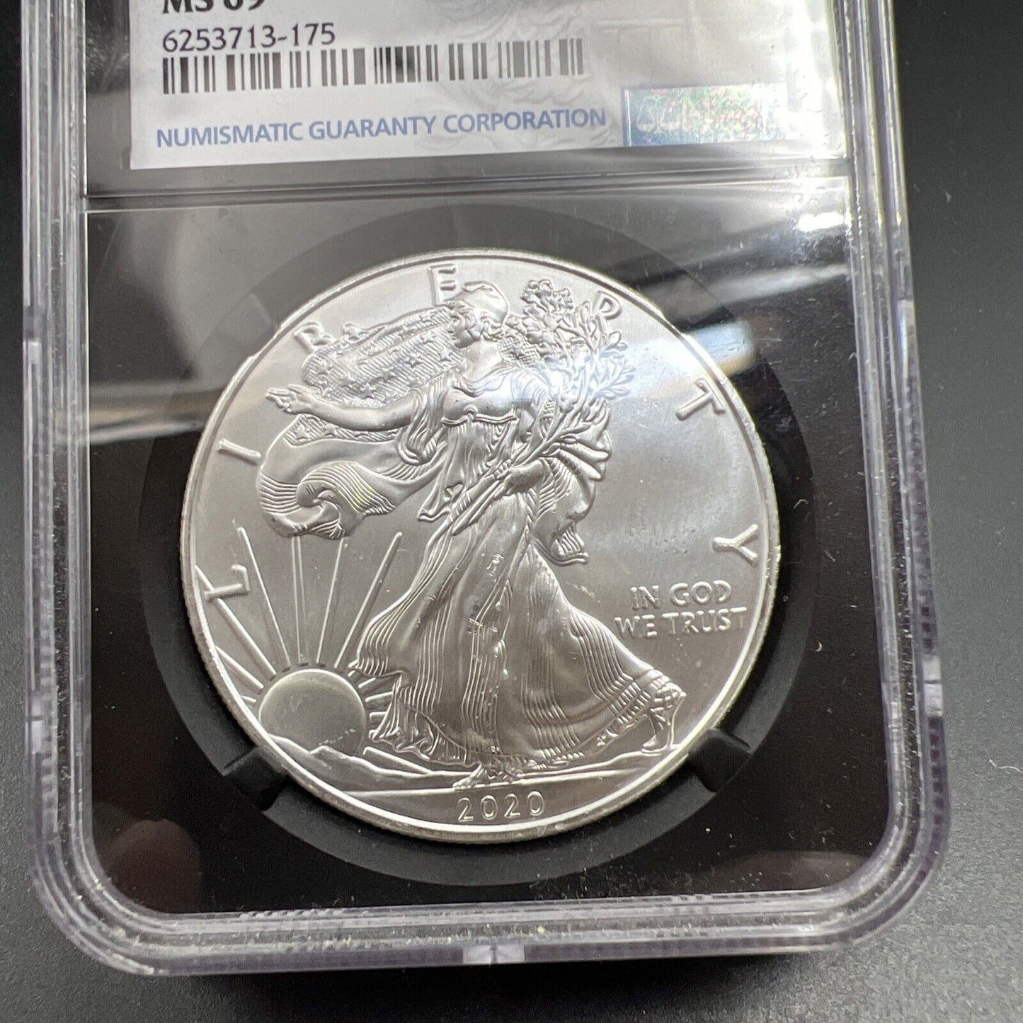 2020 P 1 OZ ASE Emergency American Silver Eagle Coin NGC MS69 Philadelphia #175