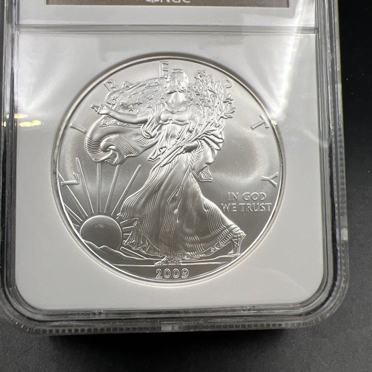 2009 1 oz .999 American Silver Eagle Coin NGC Certified MS69 Brown Label