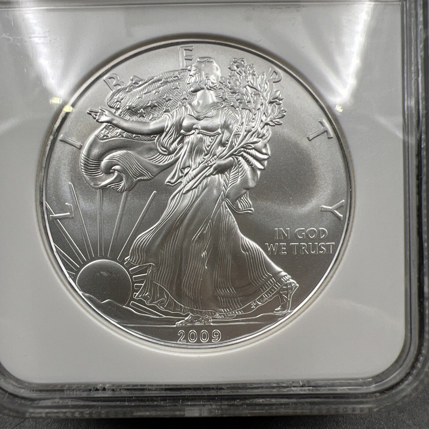 2009 1 oz .999 American Silver Eagle Coin NGC Certified MS69 Brown Label