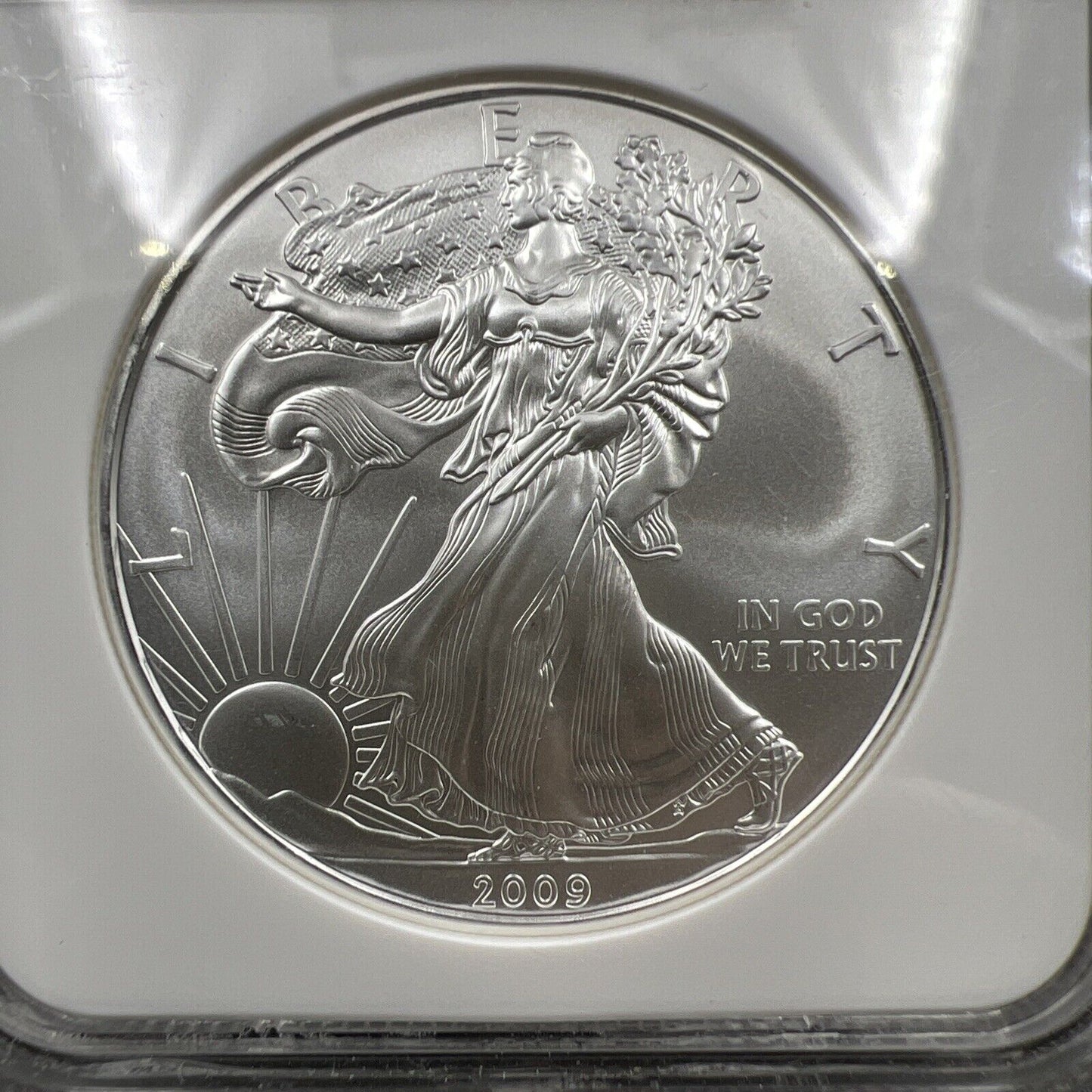 2009 1 oz .999 American Silver Eagle Coin NGC Certified MS69 Brown Label