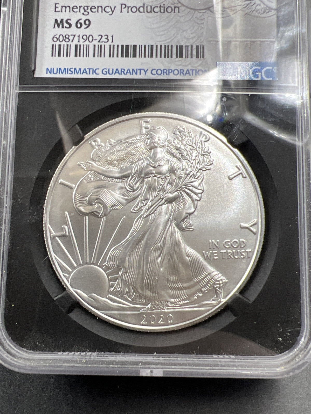 2020 S $1 ASE MS69 Emergency production American Silver Eagle #231