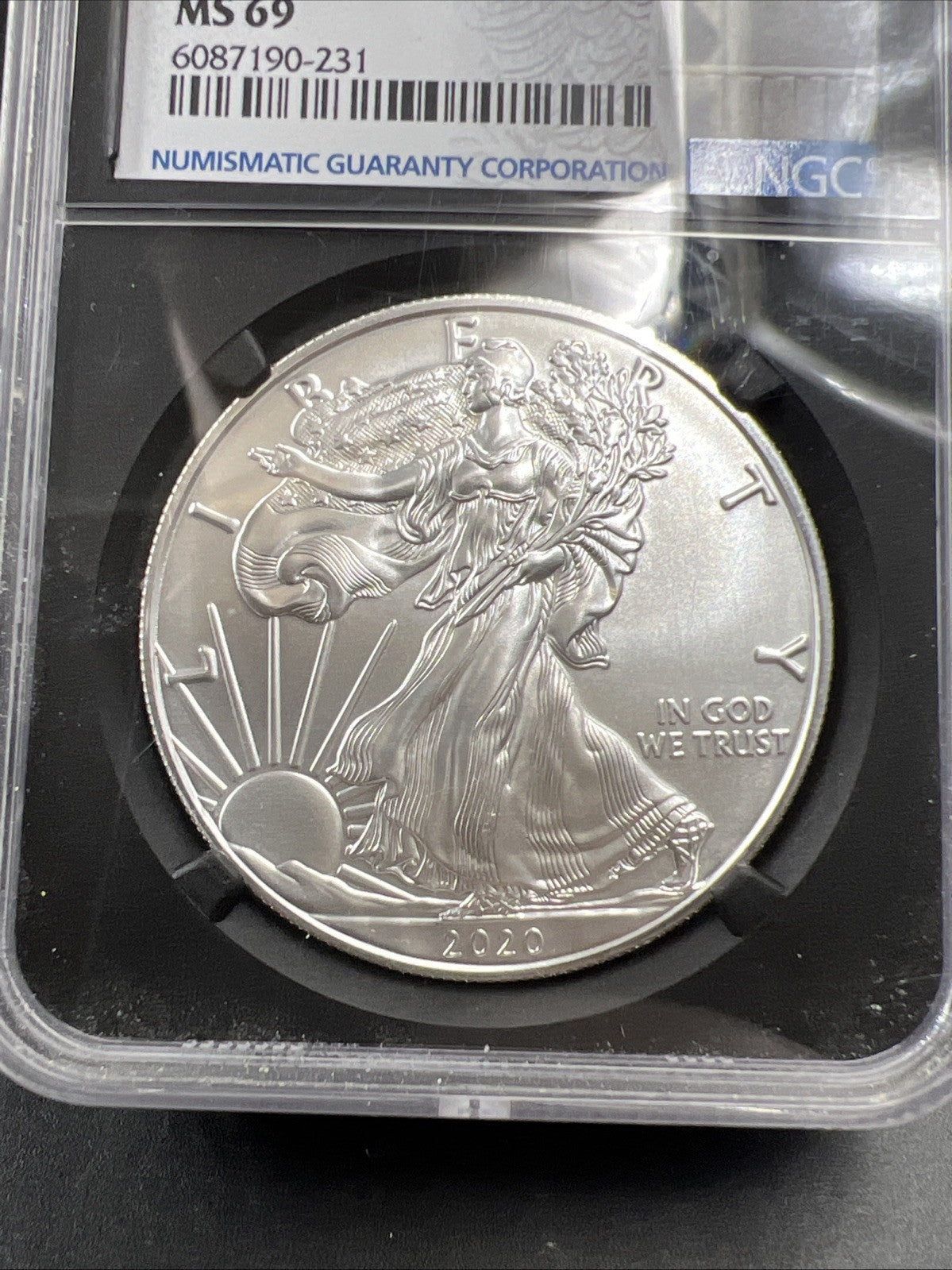 2020 S $1 ASE MS69 Emergency production American Silver Eagle #231
