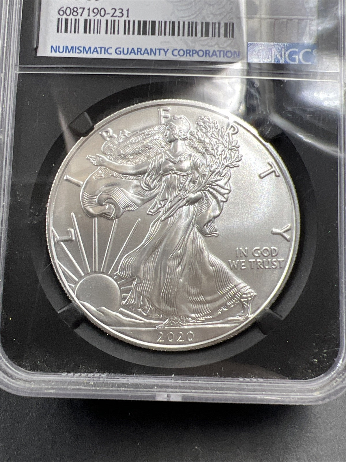 2020 S $1 ASE MS69 Emergency production American Silver Eagle #231