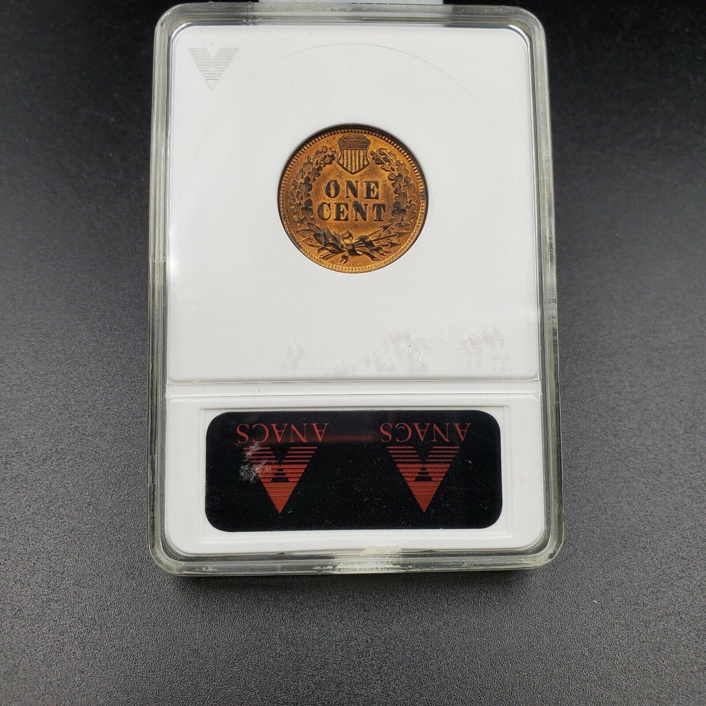 1901 P Indian Cent Penny Error ANACS MS63 RB Red Brown RPD Repunched Date 19/1