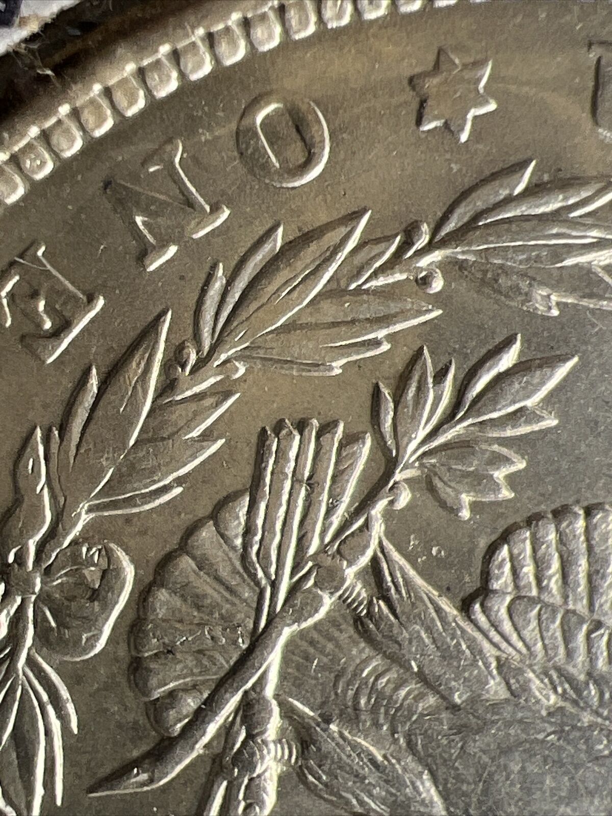 1900 P Morgan Silver Dollar Coin VAM 33 Variety DDR Reverse Leaves Choice AU