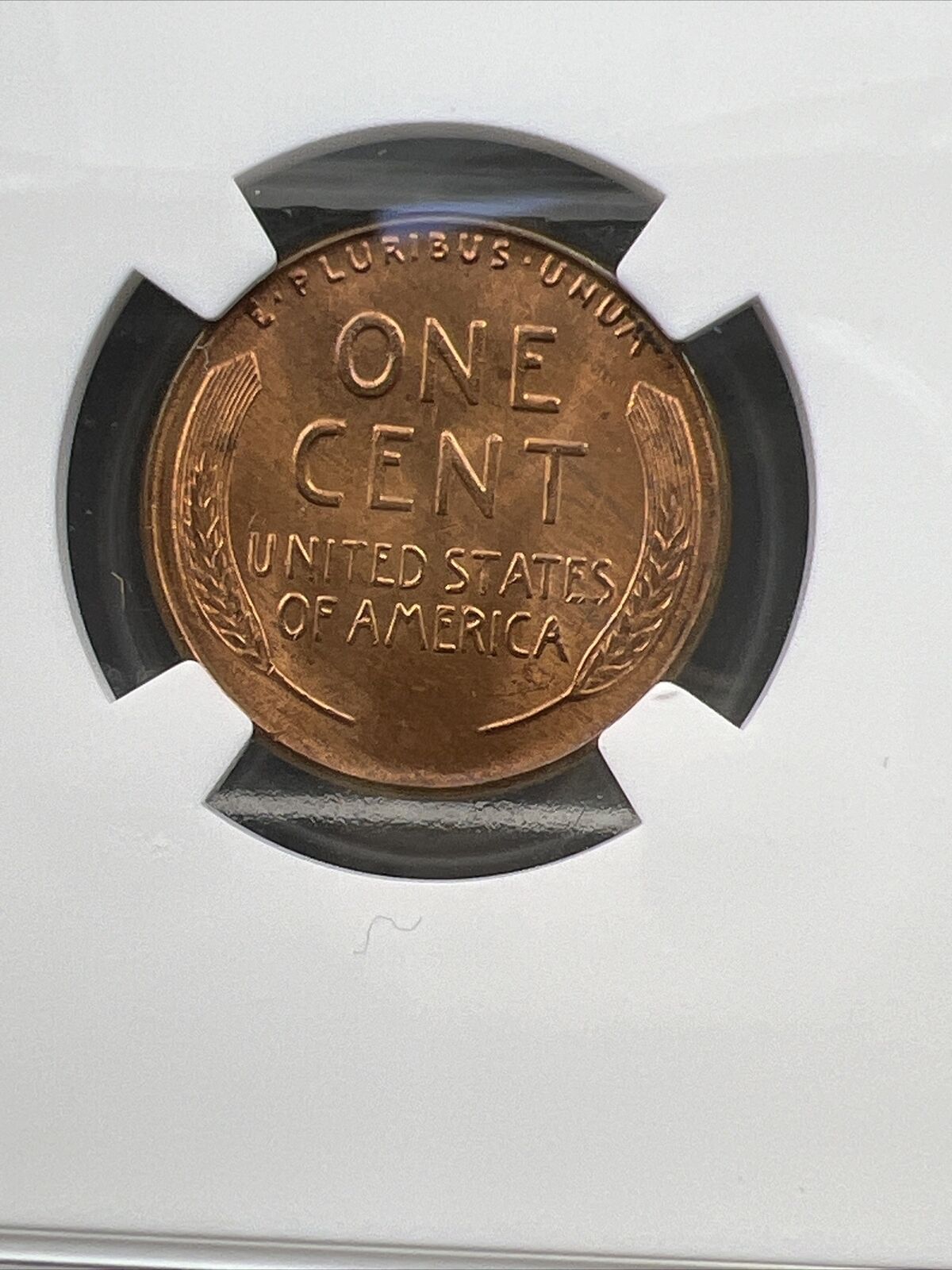 1955 P Lincoln Wheat Cent Penny Coin NGC MS66 RD Gem BU Certified Some Toning