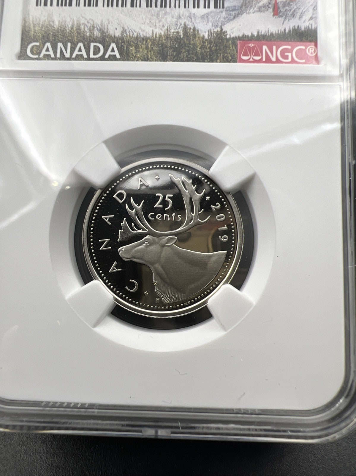 2019 Canada 25c Twenty Five Cent Caribou Quarter Coin NGC PF70 UCAM D-Day Holder