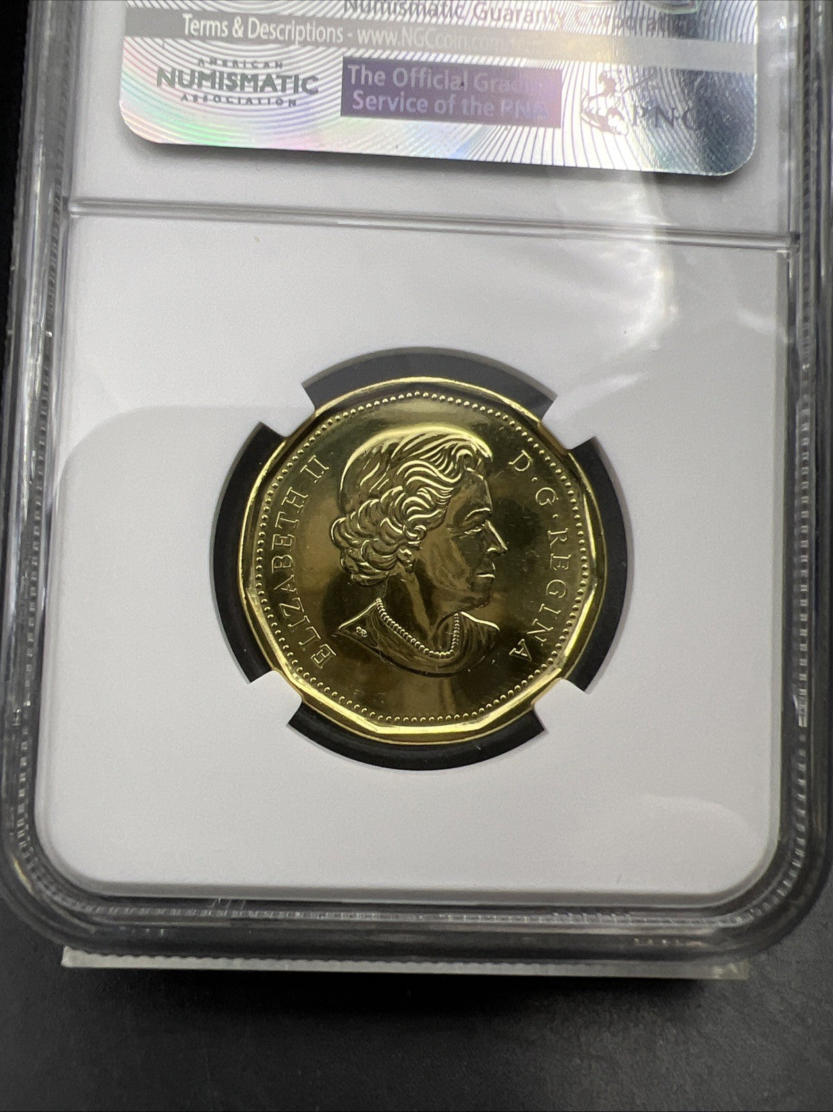 2017 $1 Canada Toronto Maple Leaves NHL Anniversary Logo 100 Years NGC MS66 PL B