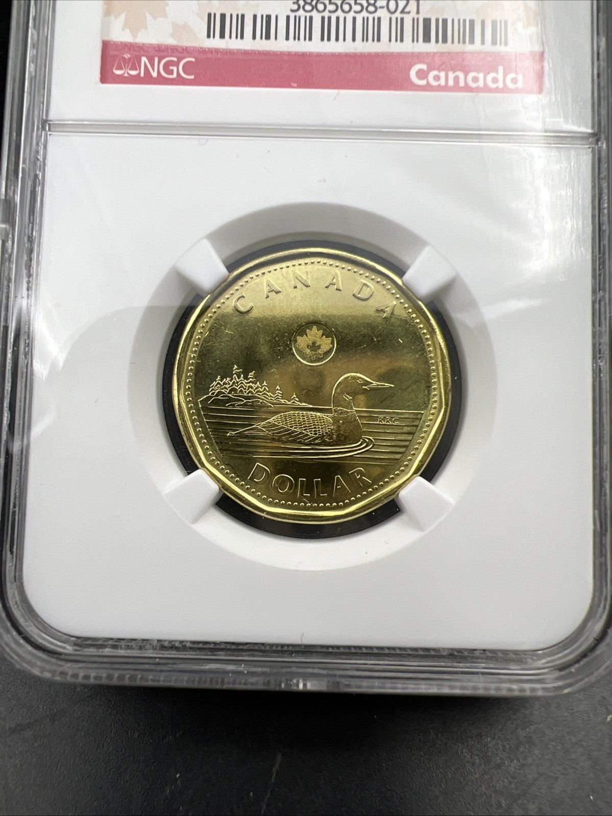 2013 Canada $1 Loon Loonie MS65 Gem BU UNC Dollar Coin