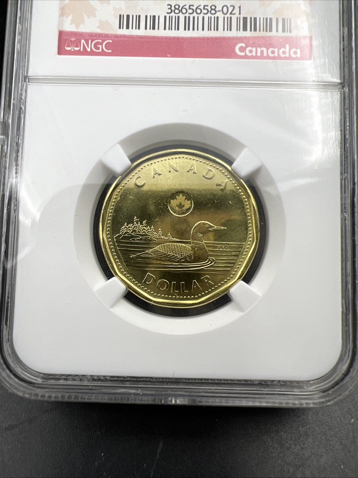 2013 Canada $1 Loon Loonie MS65 Gem BU UNC Dollar Coin