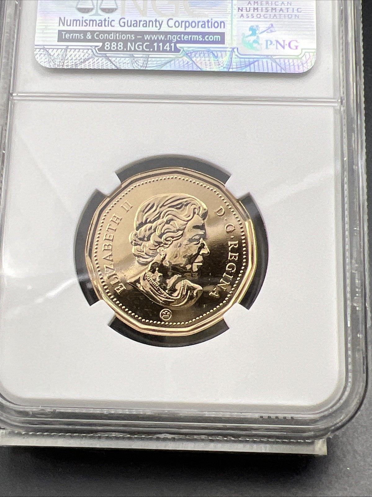 2010 Canada $1 Loon Loonie MS66 Gem BU UNC Dollar Coin