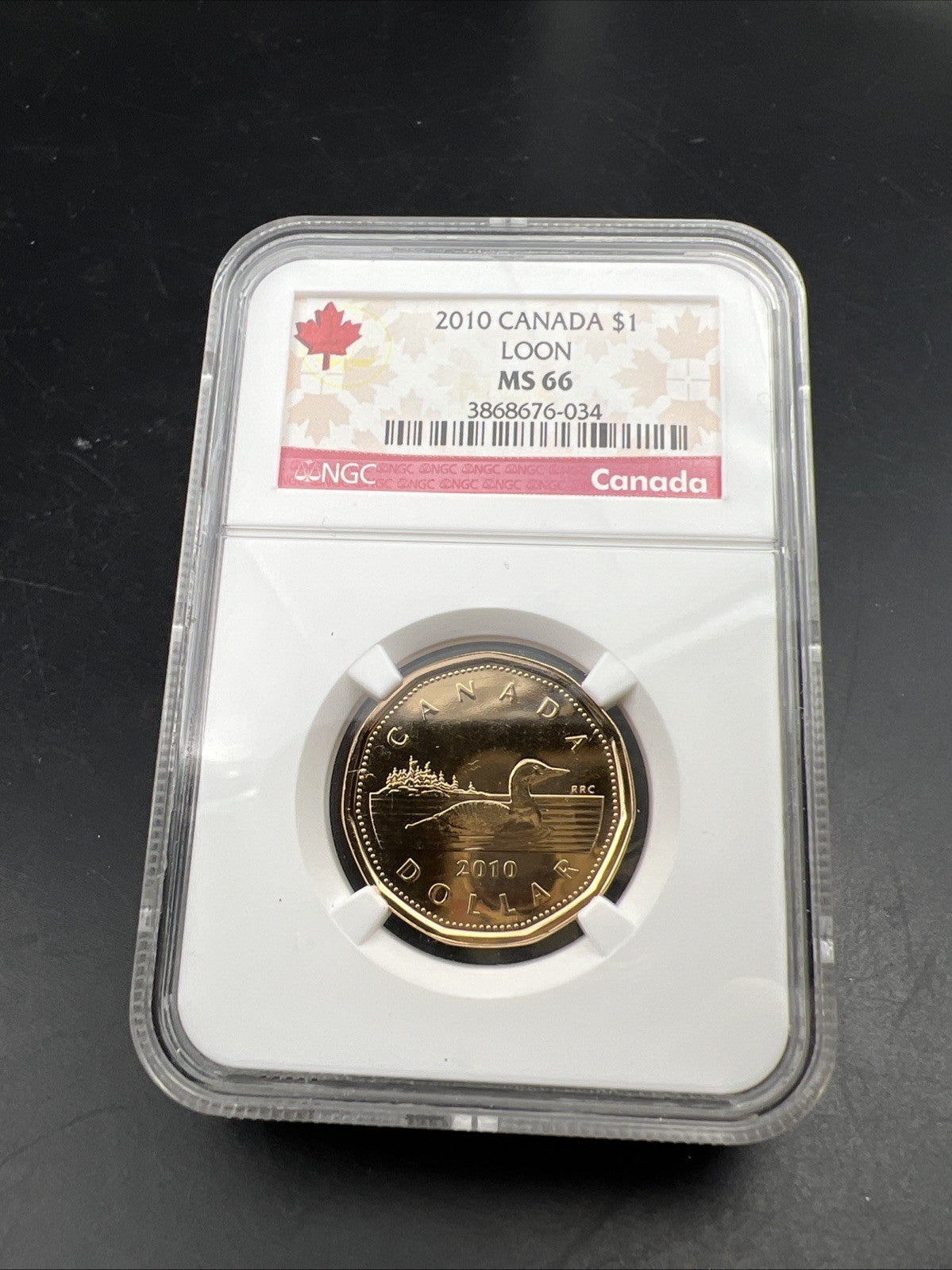 2010 Canada $1 Loon Loonie MS66 Gem BU UNC Dollar Coin