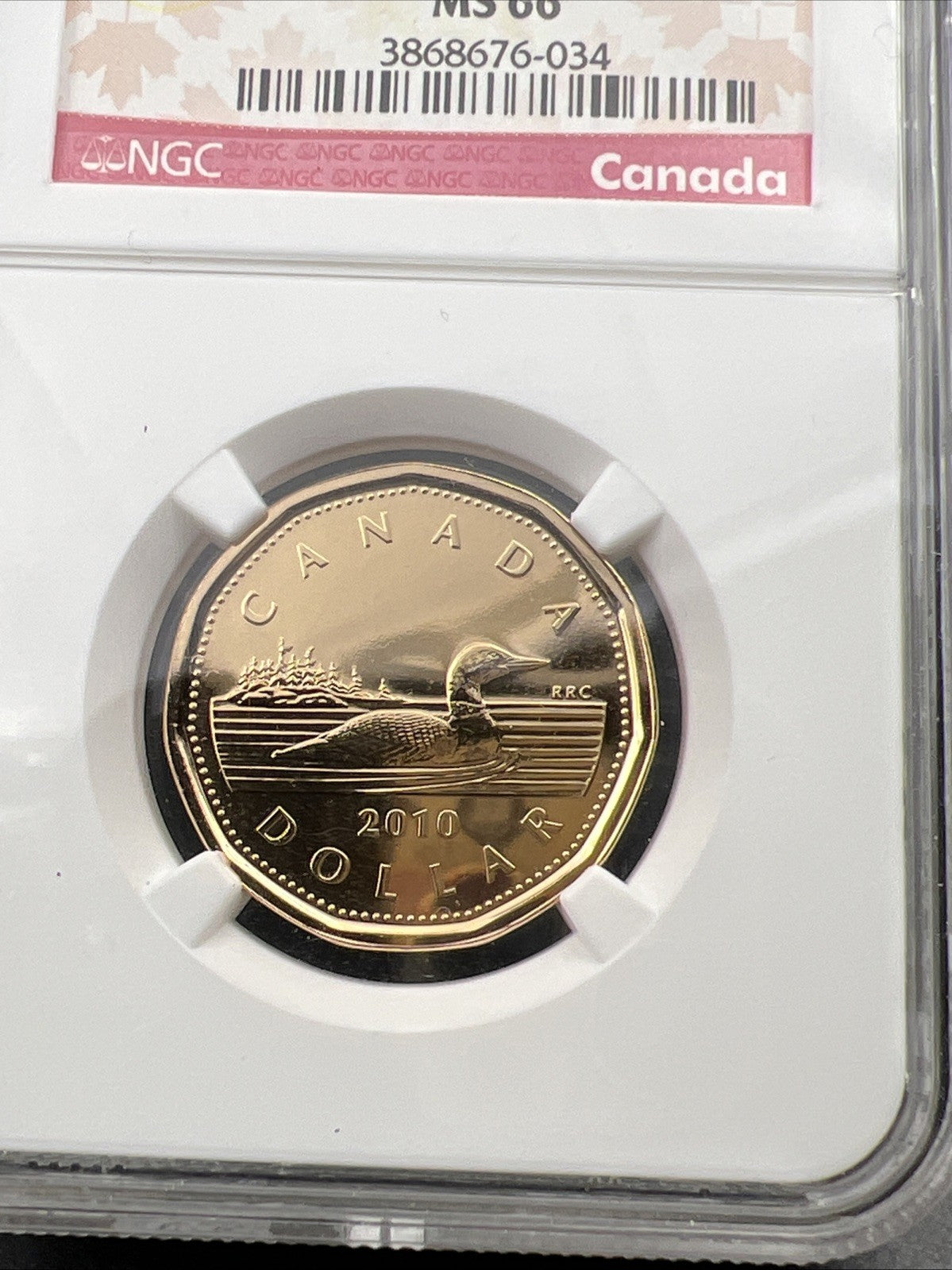 2010 Canada $1 Loon Loonie MS66 Gem BU UNC Dollar Coin