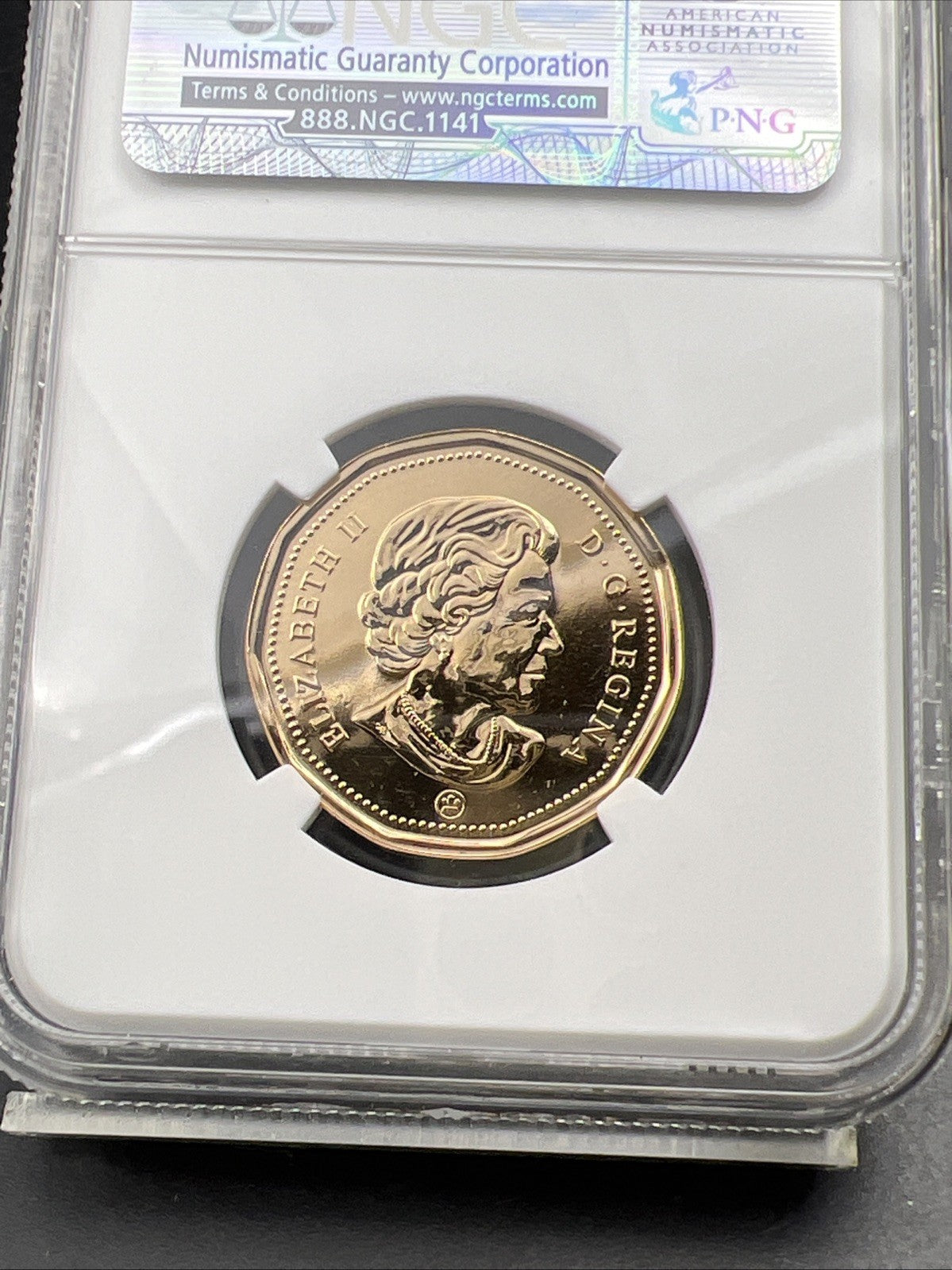 2010 Canada $1 Loon Loonie MS66 Gem BU UNC Dollar Coin