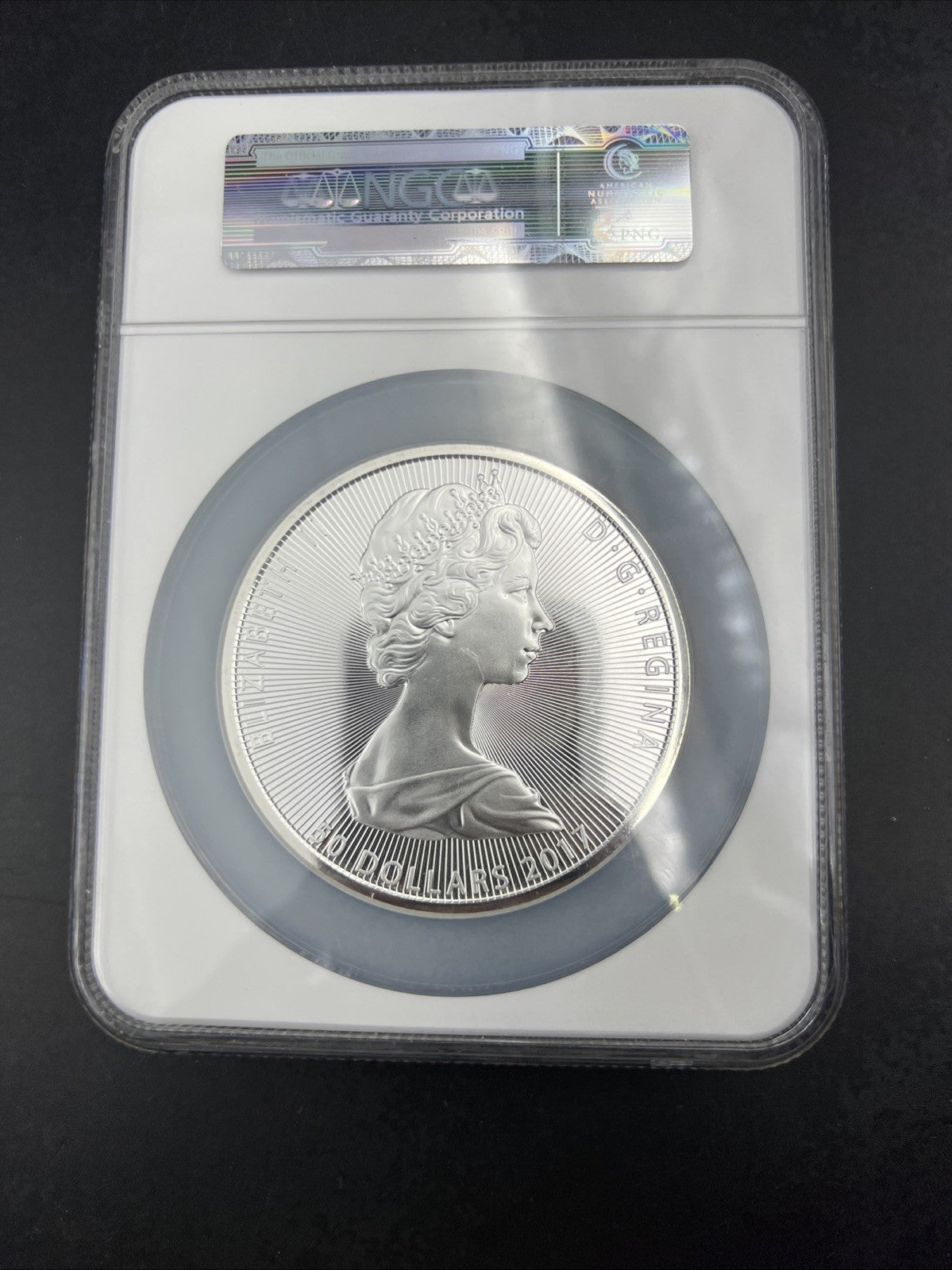 2017 Canada S$50 10 Oz Silver Niagara Falls Commemorative NGC MS69 FDOI