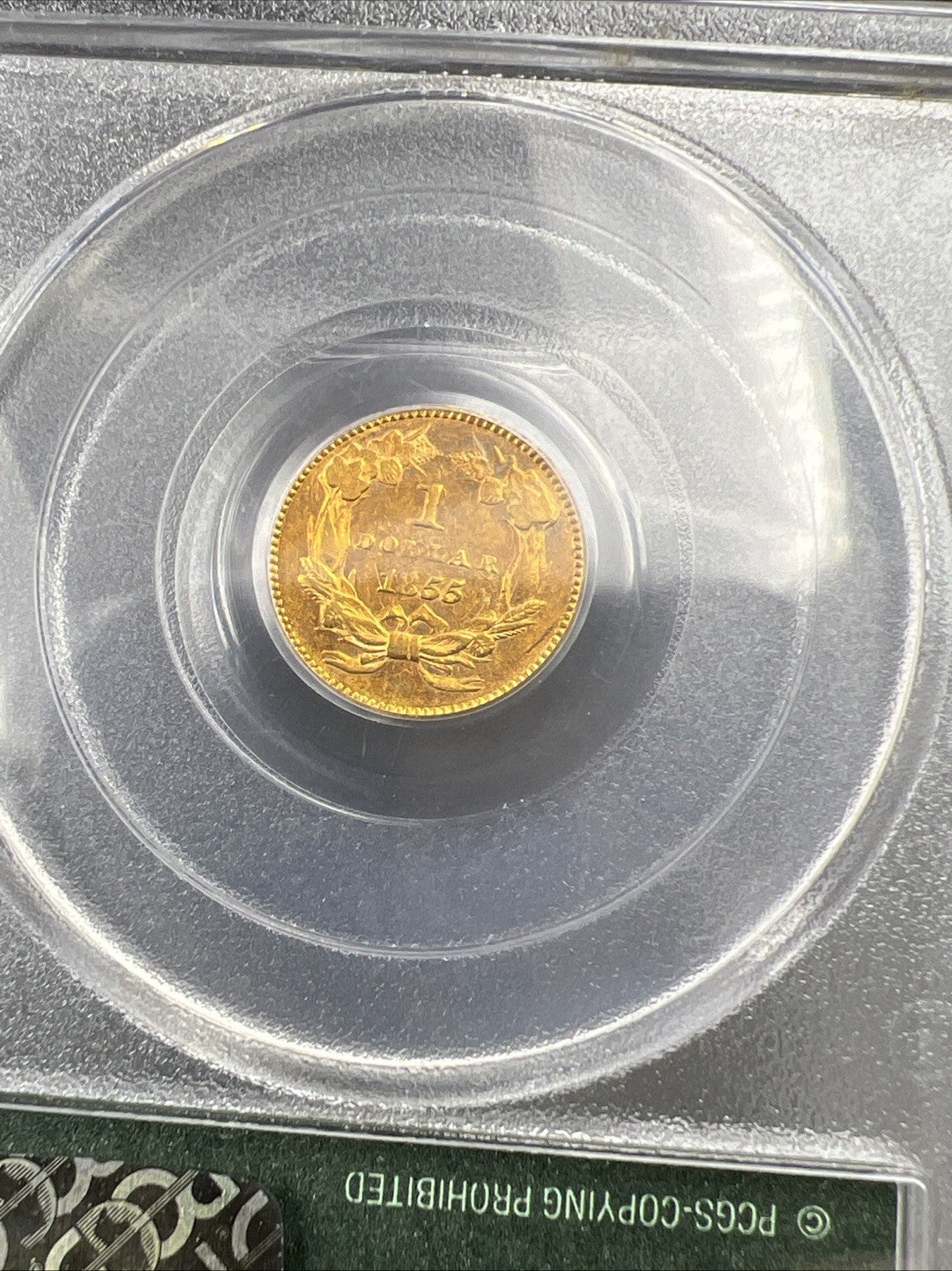 1855 Gold $1 One Dollar Princess Indian Head Type 2 Coin PCGS OGH AU50