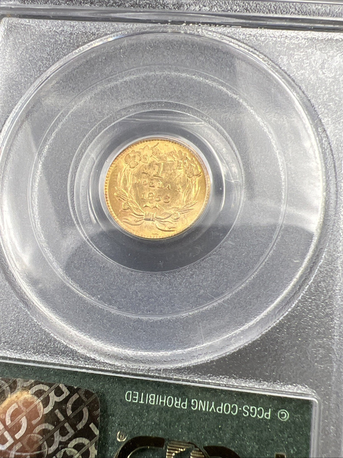 1856 $1 One Dollar Princess Indian Head Gold Dollar Coin PCGS OGH MS60 Slant 5