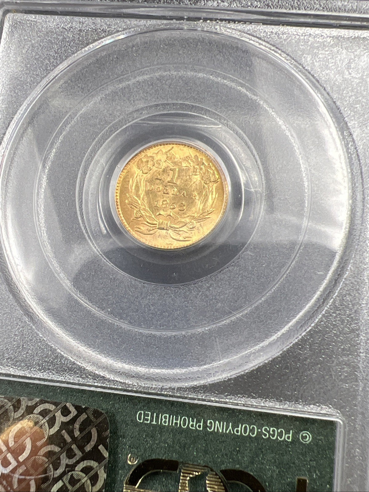 1856 $1 One Dollar Princess Indian Head Gold Dollar Coin PCGS OGH MS60 Slant 5