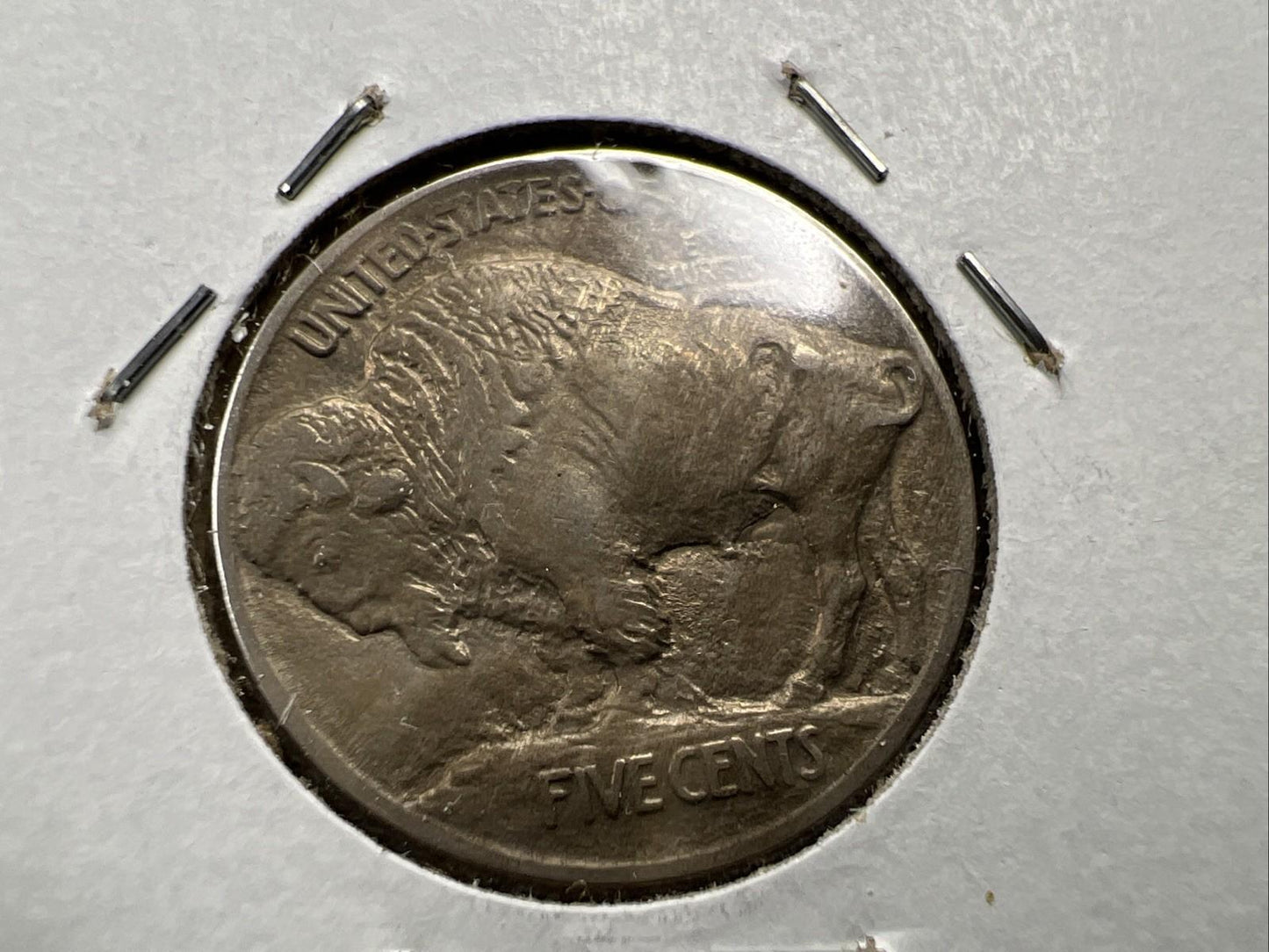 1913 5c Buffalo Five Cents Nickel Coin XF EF Extra Fine Circ SK#A