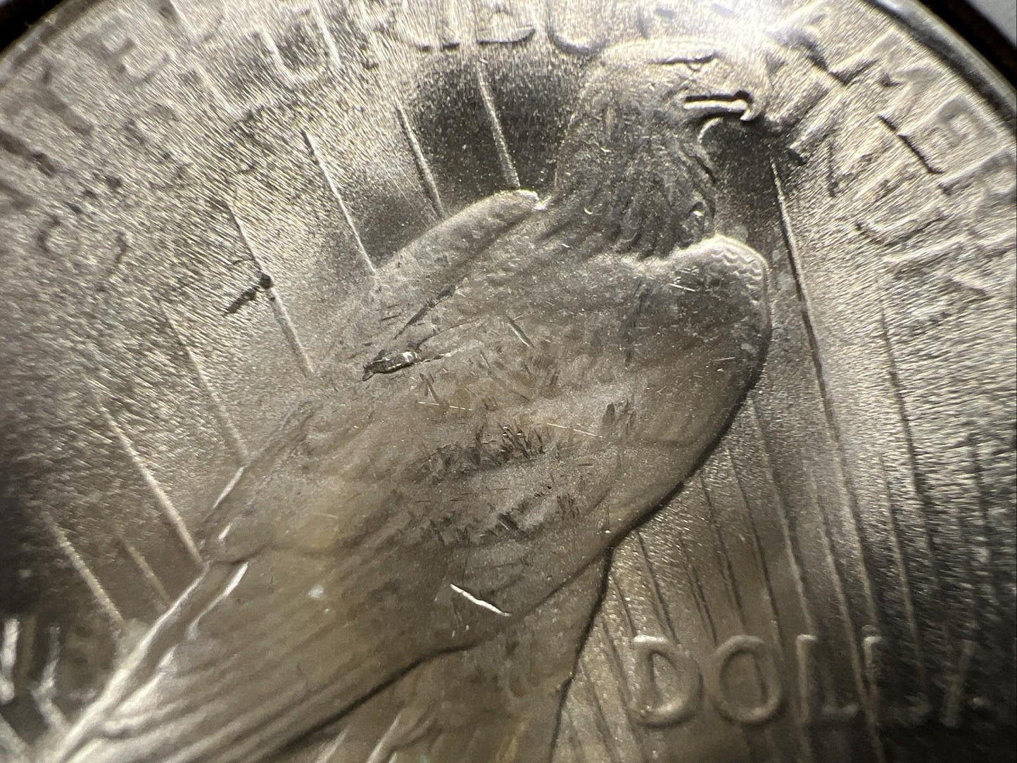 1922 P $1 Peace Silver Dollar Coin CH BU UNC Die Break on Wing VAM SK#A