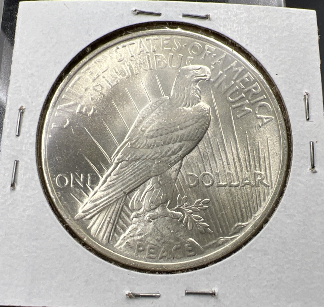 1923 P $1 Peace Silver Dollar Coin Planchet Flaw Error UNC