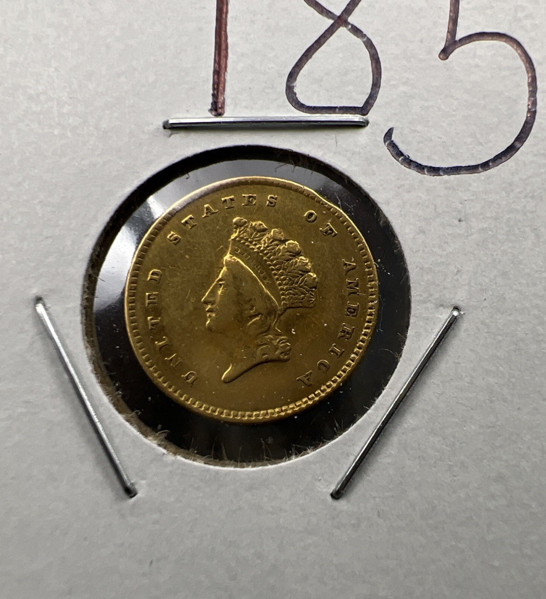 1854 G $1 Gold One Dollar Type 2 Indian Princess Head VF Details Rim Damage