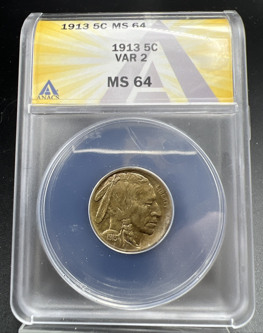 1913 P Type 2 5c Buffalo Five Cents Nickel Coin ANACS MS64 CH BU Certified