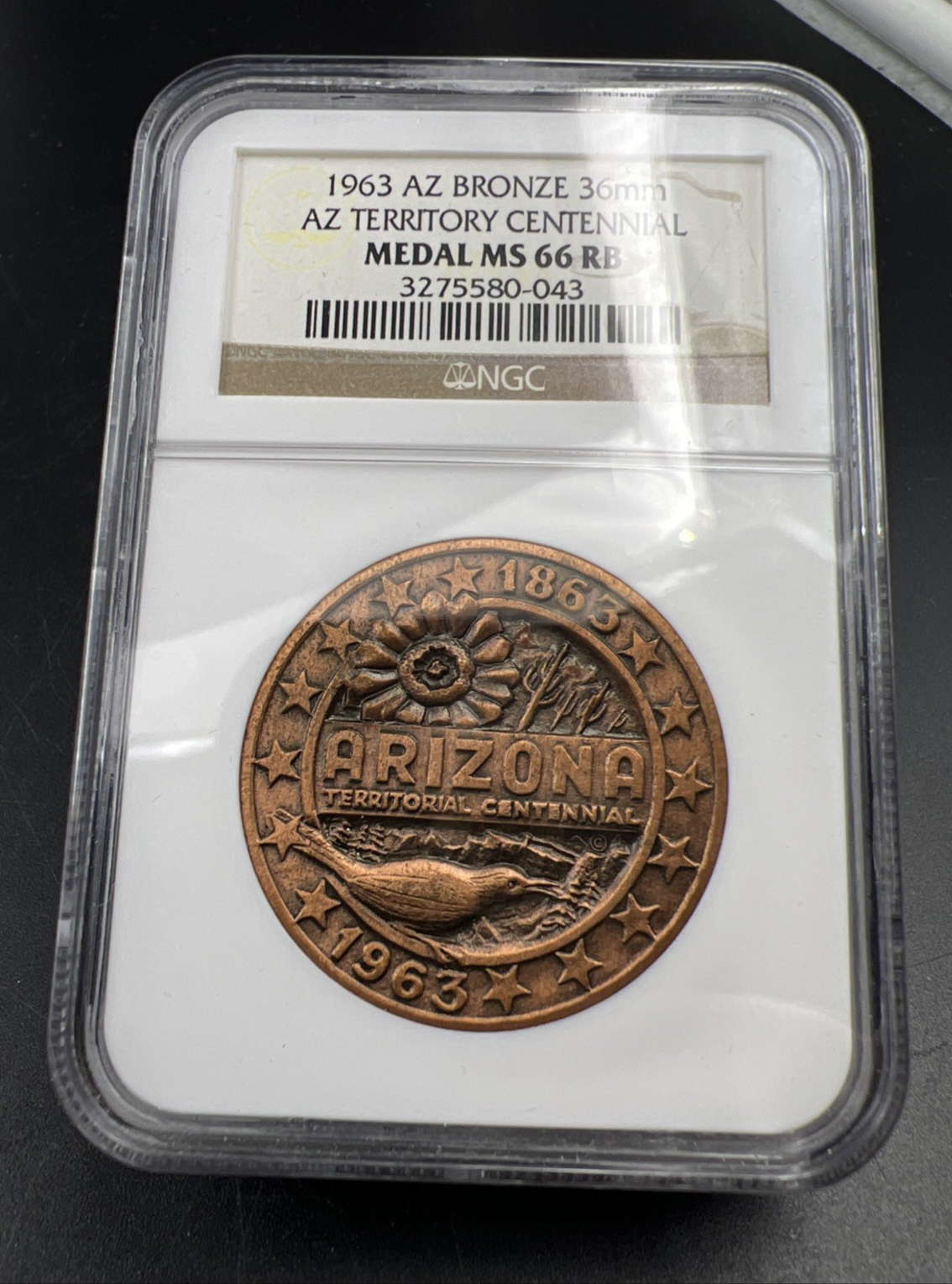 1963 Arizona Centennial Bronze Medal NGC MS66 RB
