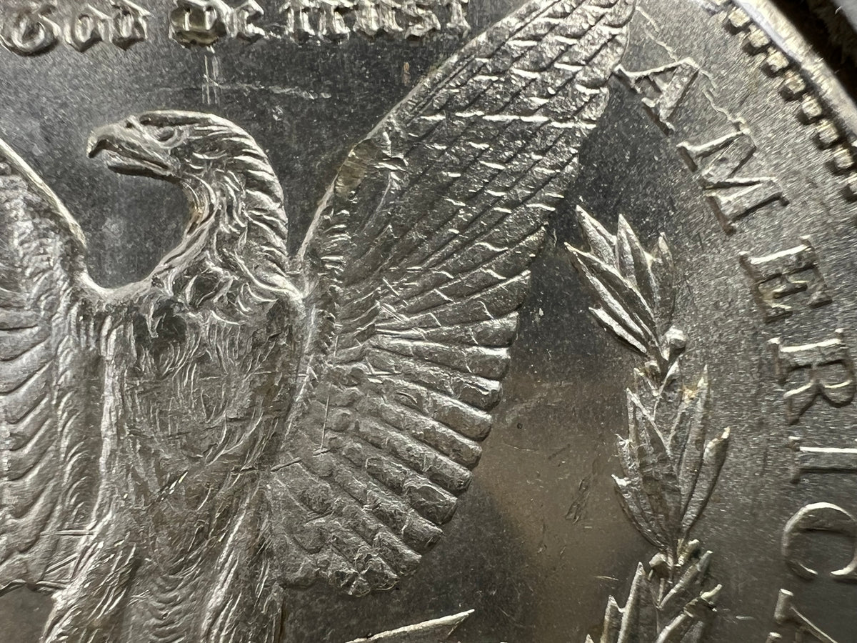1878 CC Morgan VAM 11 BU Carson City Dollar Coin Lines in Wing Top 100 Vam Variety #A