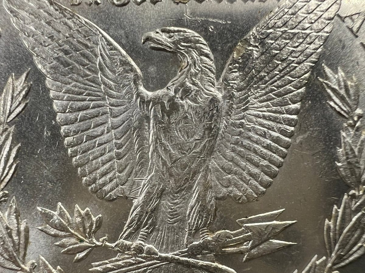 1878 CC Morgan VAM 11 BU Carson City Dollar Coin Lines in Wing Top 100 Vam Variety #A