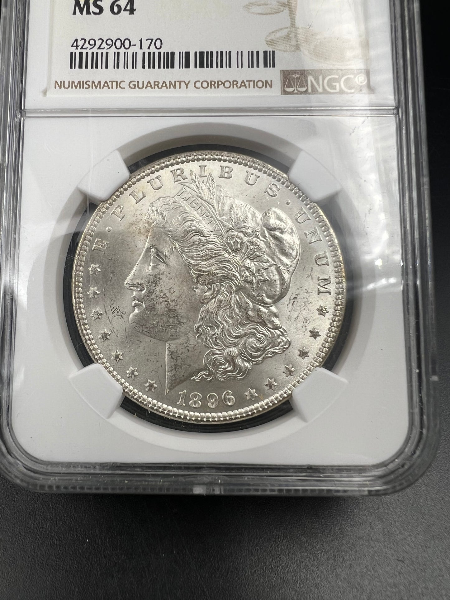 1896 P $1 Morgan Silver Dollar Coin PQ Toning Toner Reverse MS64 NGC