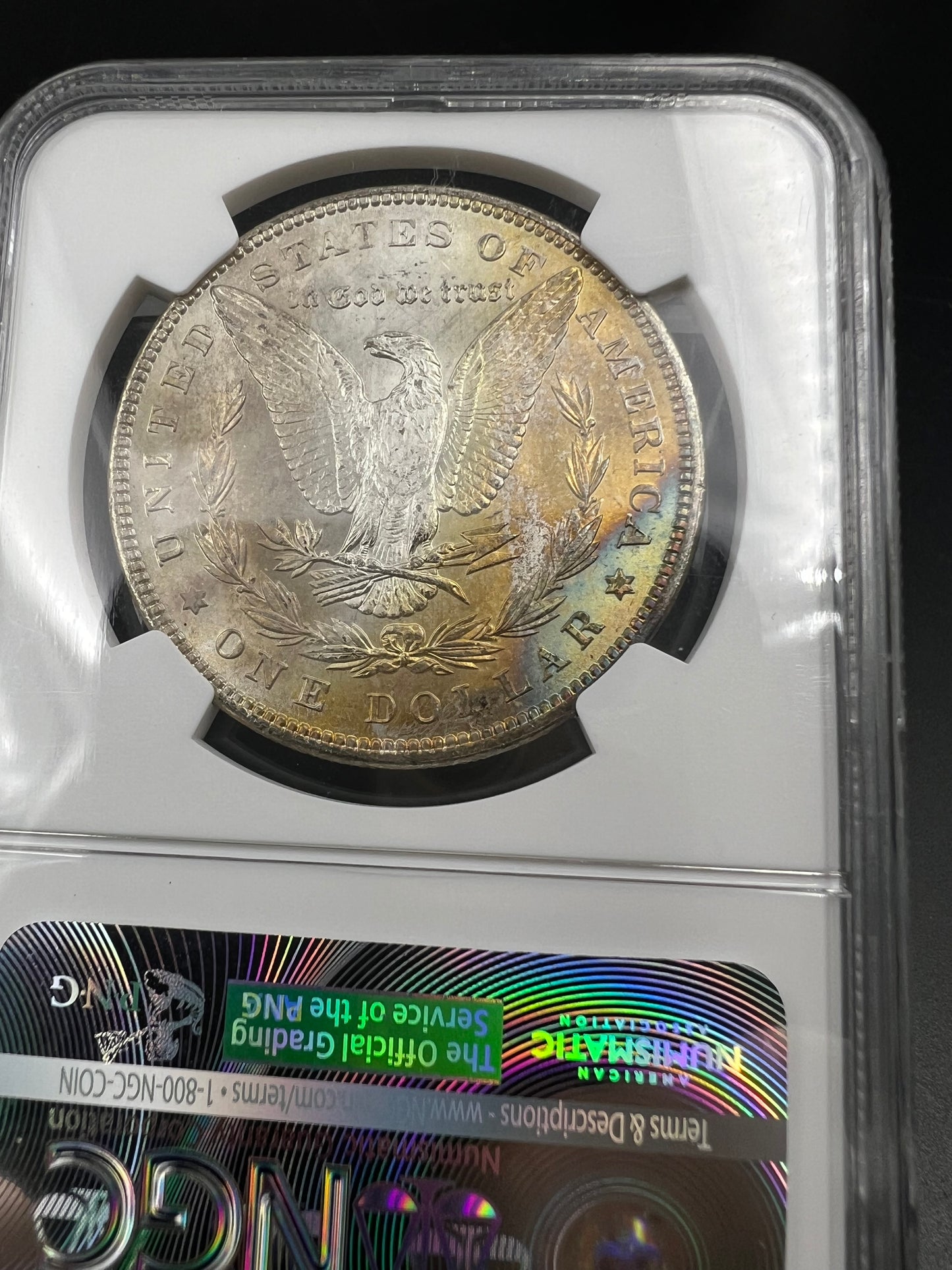 1896 P $1 Morgan Silver Dollar Coin PQ Toning Toner Reverse MS64 NGC