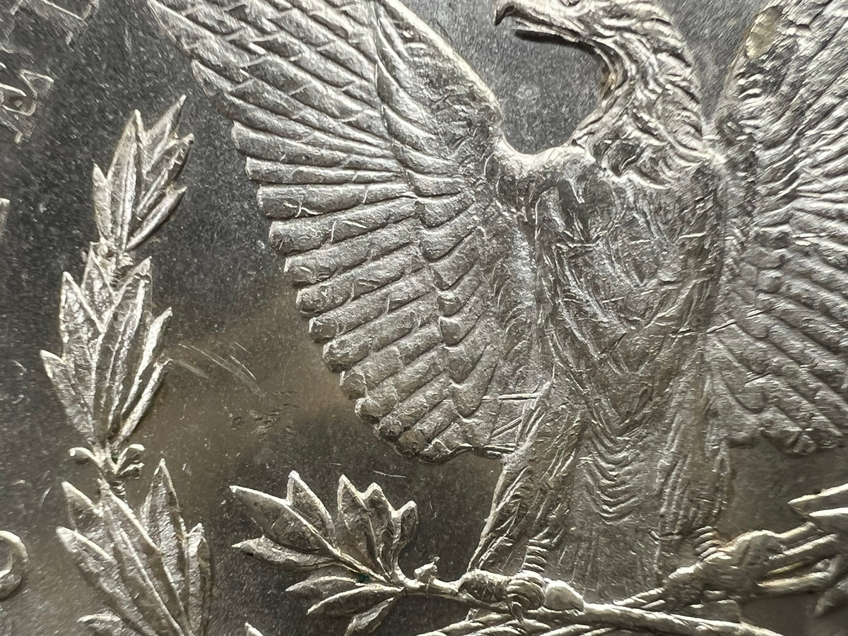 1878 CC Morgan VAM 11 BU Carson City Dollar Coin Lines in Wing Top 100 Vam Variety #A