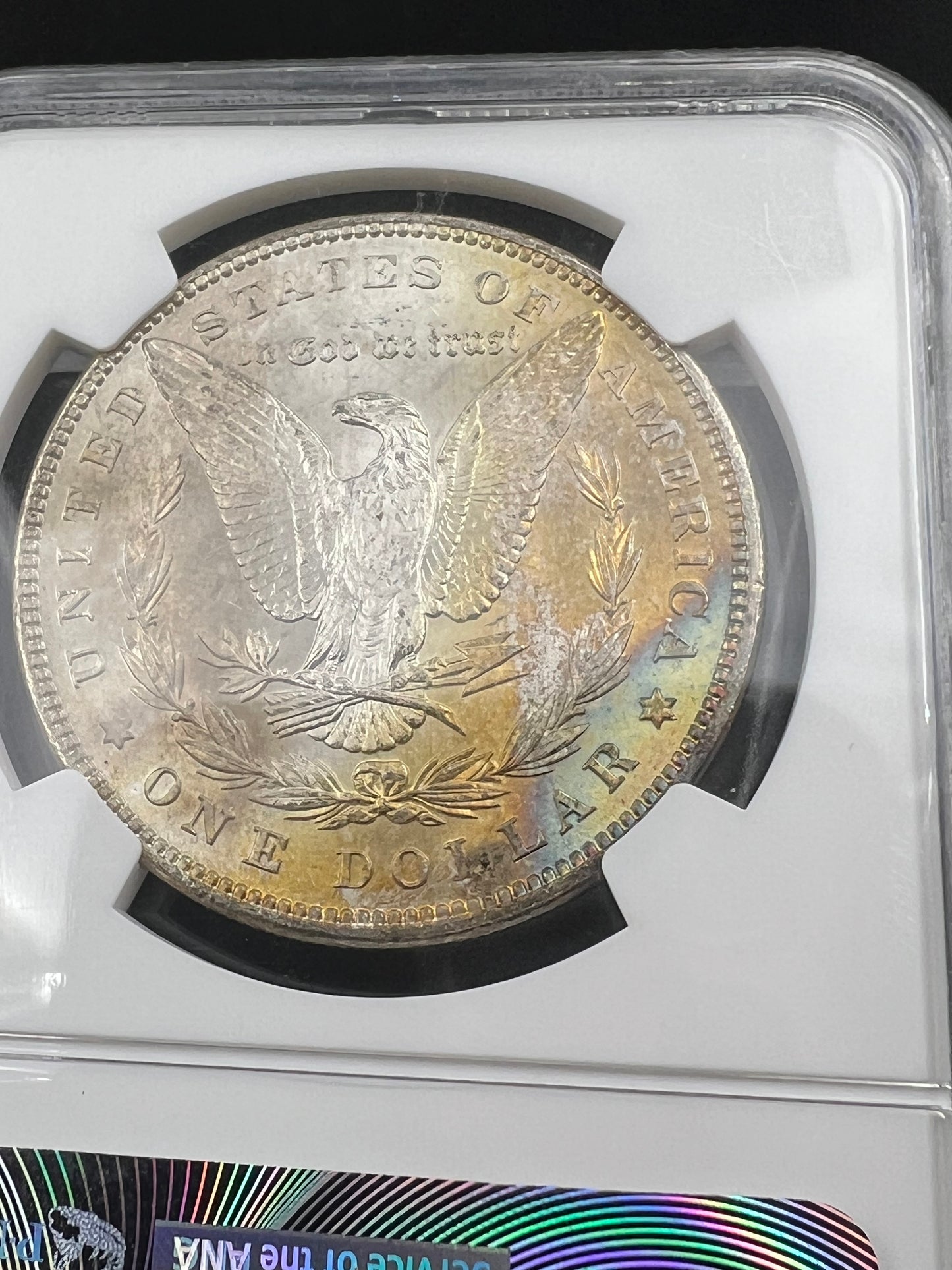 1896 P $1 Morgan Silver Dollar Coin PQ Toning Toner Reverse MS64 NGC