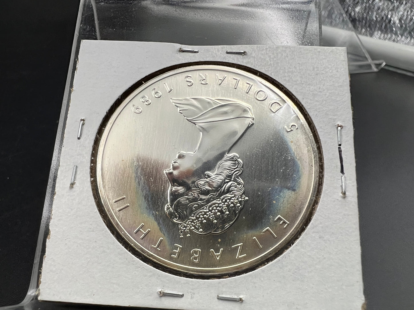 1989 1 oz .9999 Ultra Fine Canada Silver Maple Leaf Coin GEM UNC PQ Toning Toner sk#a