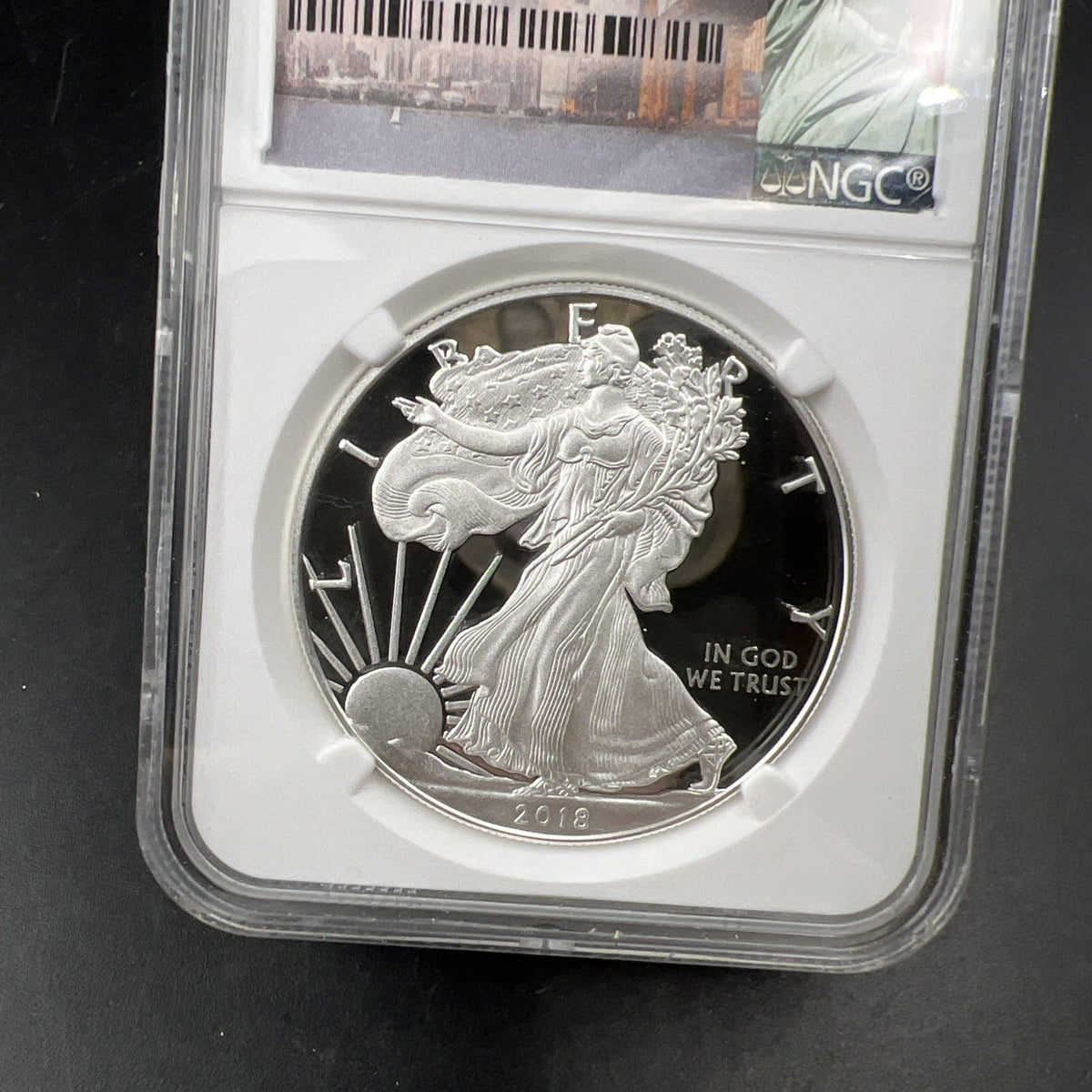 NGC error "2017" 2018 W 1 Oz Proof ASE American Silver Eagle Coin PF69 UCAM
