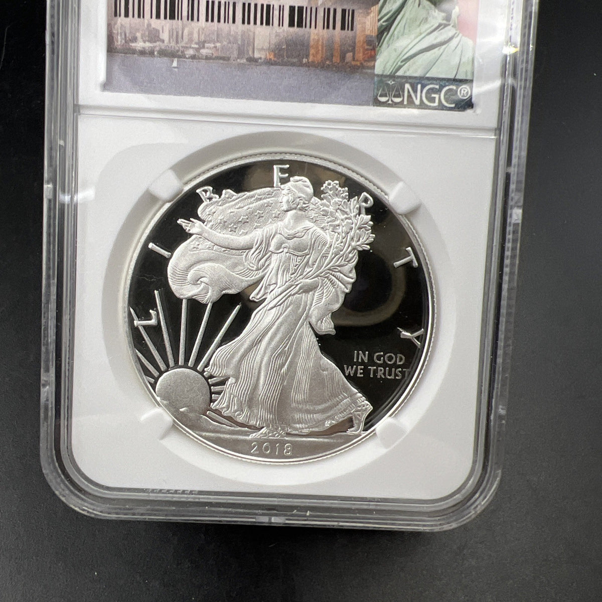 NGC error "2017" 2018 W 1 Oz Proof ASE American Silver Eagle Coin PF69 UCAM