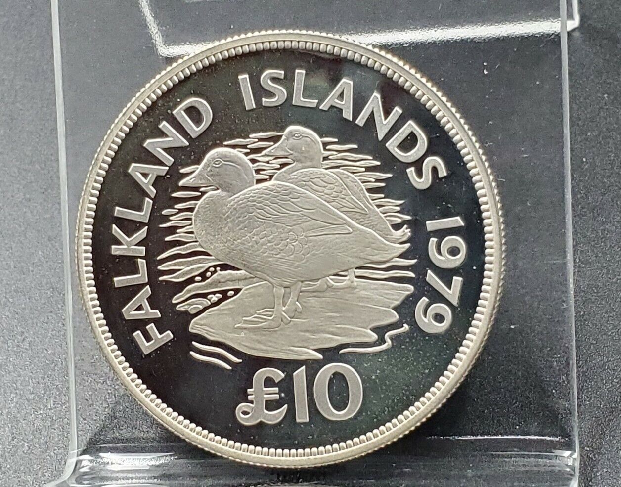 1979 FALKLAND ISLANDS 10 POUNDS GEM PROOF SILVER COIN POUND DUCKS 3247 Mintage