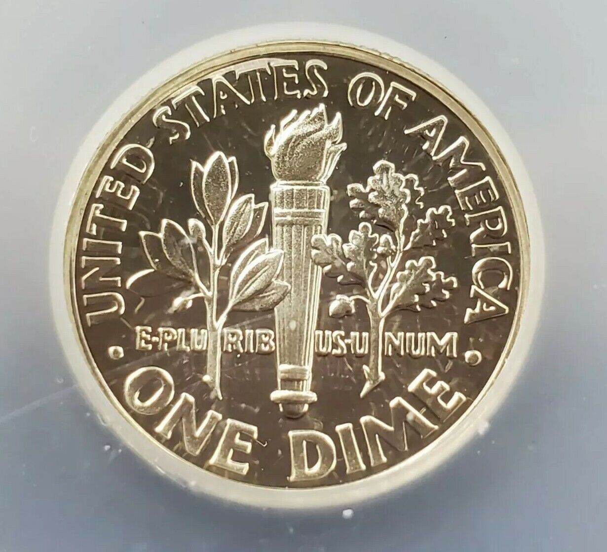1999 S Roosevelt SILVER Dime Coin Vintage ICG PR70 DCAM Neat Toning Toner