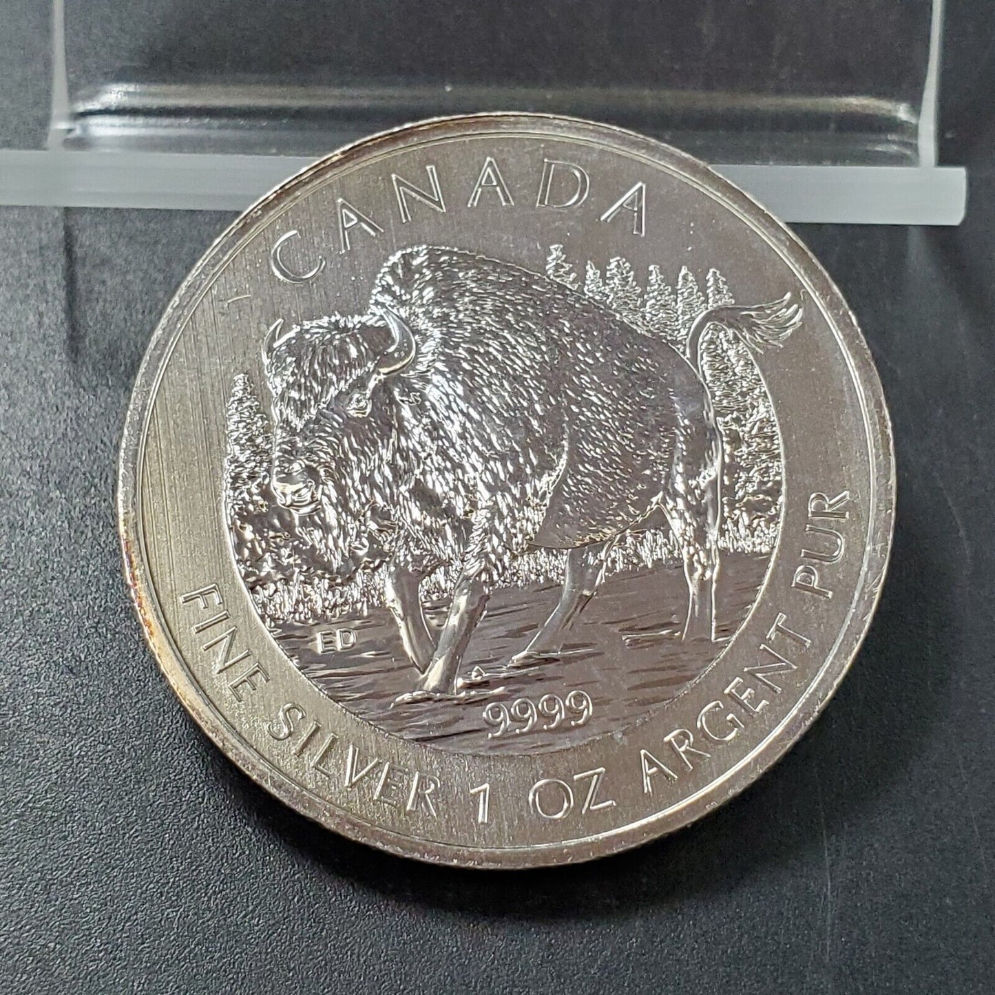 2013 CANADA 5 DOLLAR BUFFALO ~ 1 OZ .9999 FINE SILVER Gem UNC