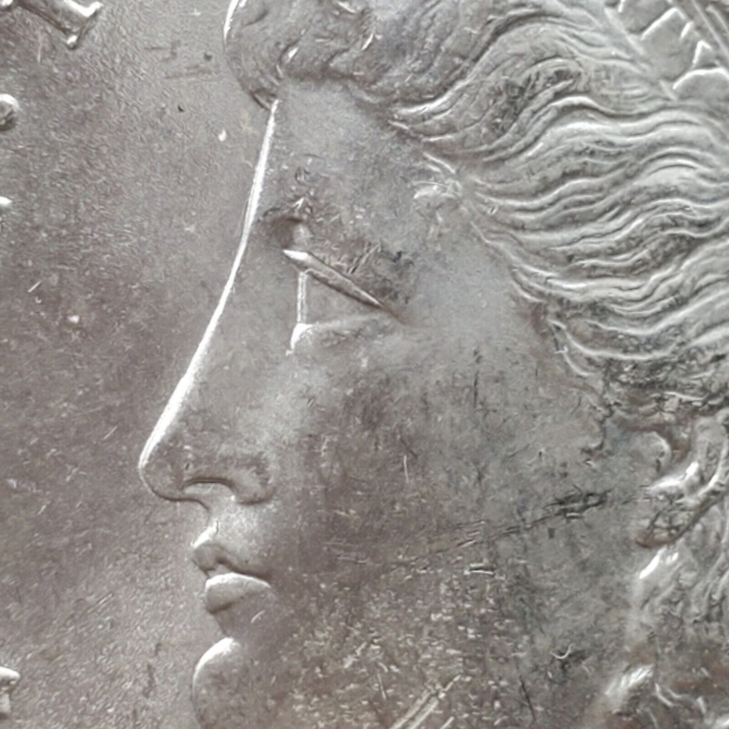 1887 P Morgan Silver Dollar Variety Coin ANACS MS63 VAM-12A DDO ALLIGATOR EYE