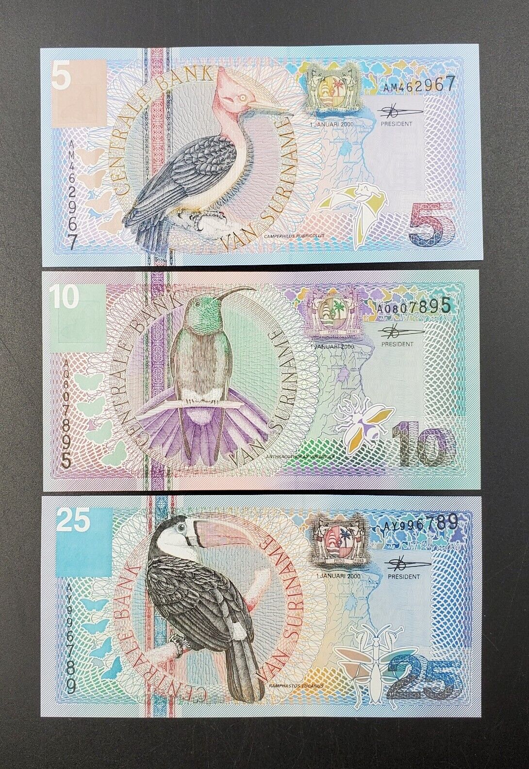 2000 SURINAME Set of 3 Bank Notes  5 10 & 25 Gulden UNCIRCULATED Tropical Birds