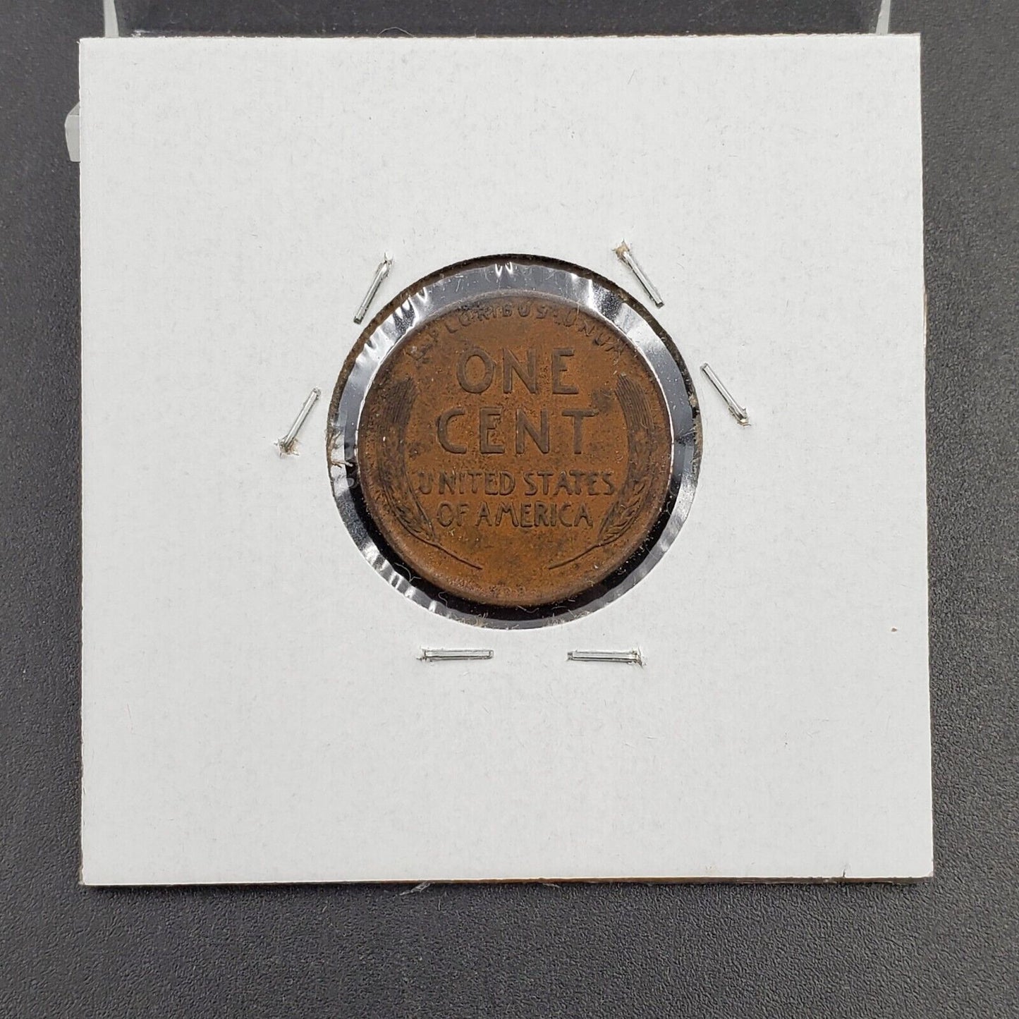 1909 P VDB Lincoln Wheat Cent Penny Coin